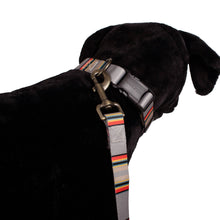 Load image into Gallery viewer, Pendleton- Vintage Camp Convertible Adventure Dog Leash