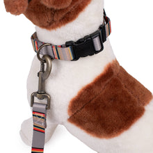 Load image into Gallery viewer, Pendleton- Pet Vintage Camp Adjustable Adventure Dog Collar