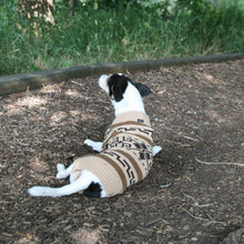 Load image into Gallery viewer, Pendleton- Pet Knitted Pull Over Dog Sweater - Westerley