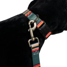 Load image into Gallery viewer, Pendleton- Pet Vintage Camp Adjustable Adventure Dog Collar