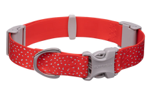 Load image into Gallery viewer, Ruffwear- Confluence Dog Collar