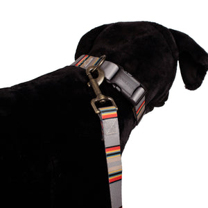 Pendleton- Vintage Camp Convertible Adventure Dog Leash