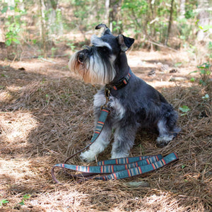 Pendleton- Pet Vintage Camp Adjustable Hiker Dog Collar