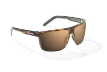 Load image into Gallery viewer, Bajio- Toads Sunglasses
